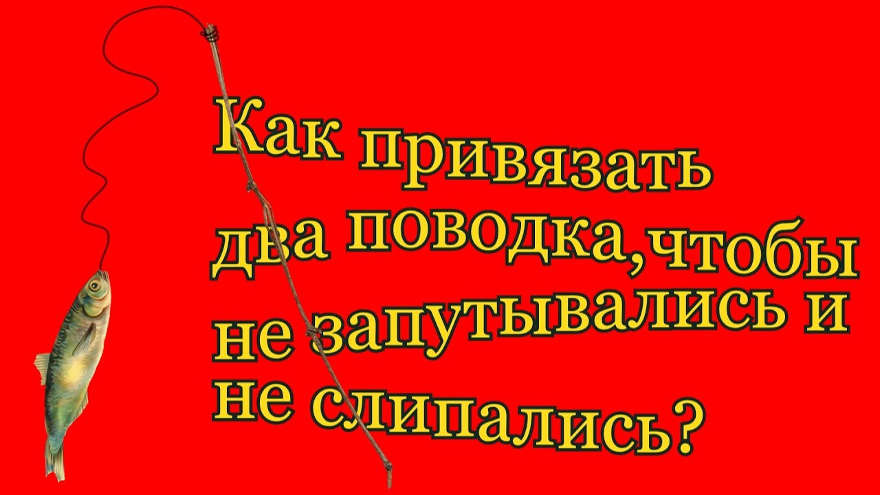 Как привязать два поводка на удочке ,чтобы не запутывались и не слипались