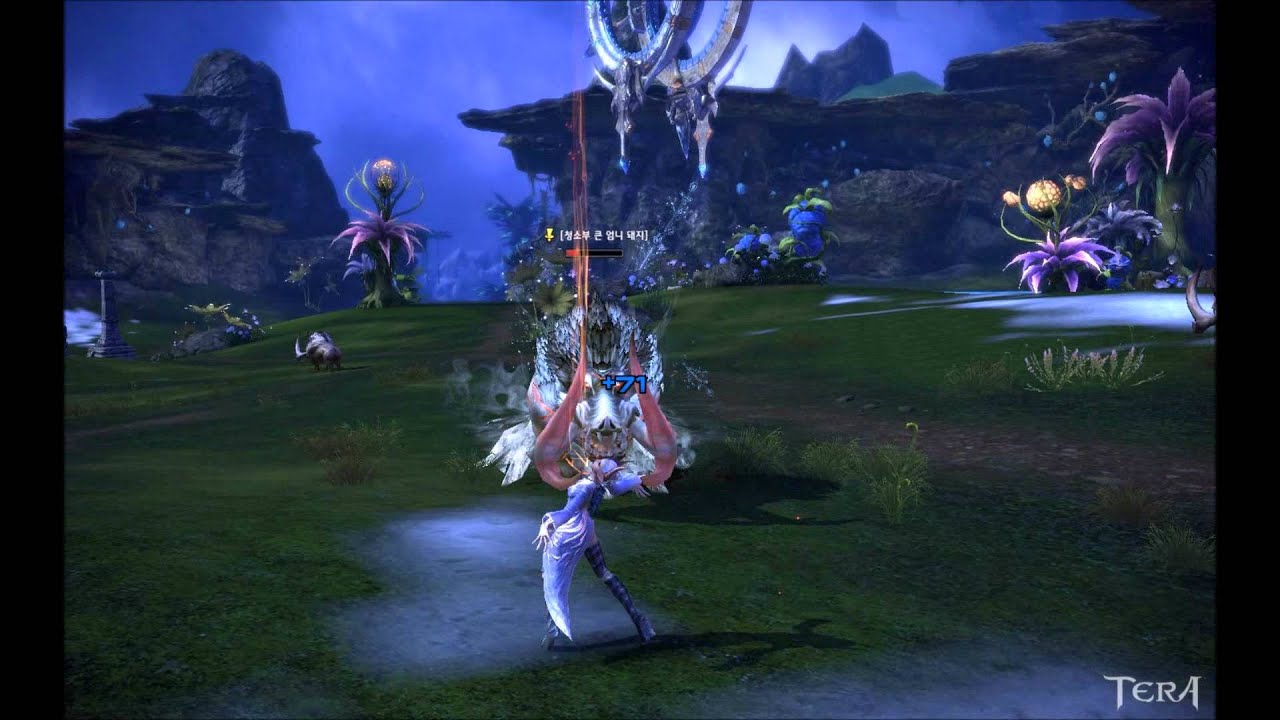 [Tera HD] Гайд по волшебникам