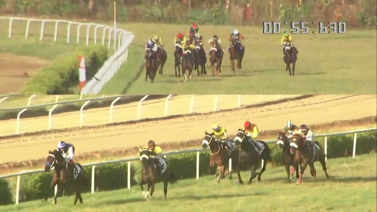 DESTROYER with Imran Chisty up wins The Bombay Club Multi - Million 2023
