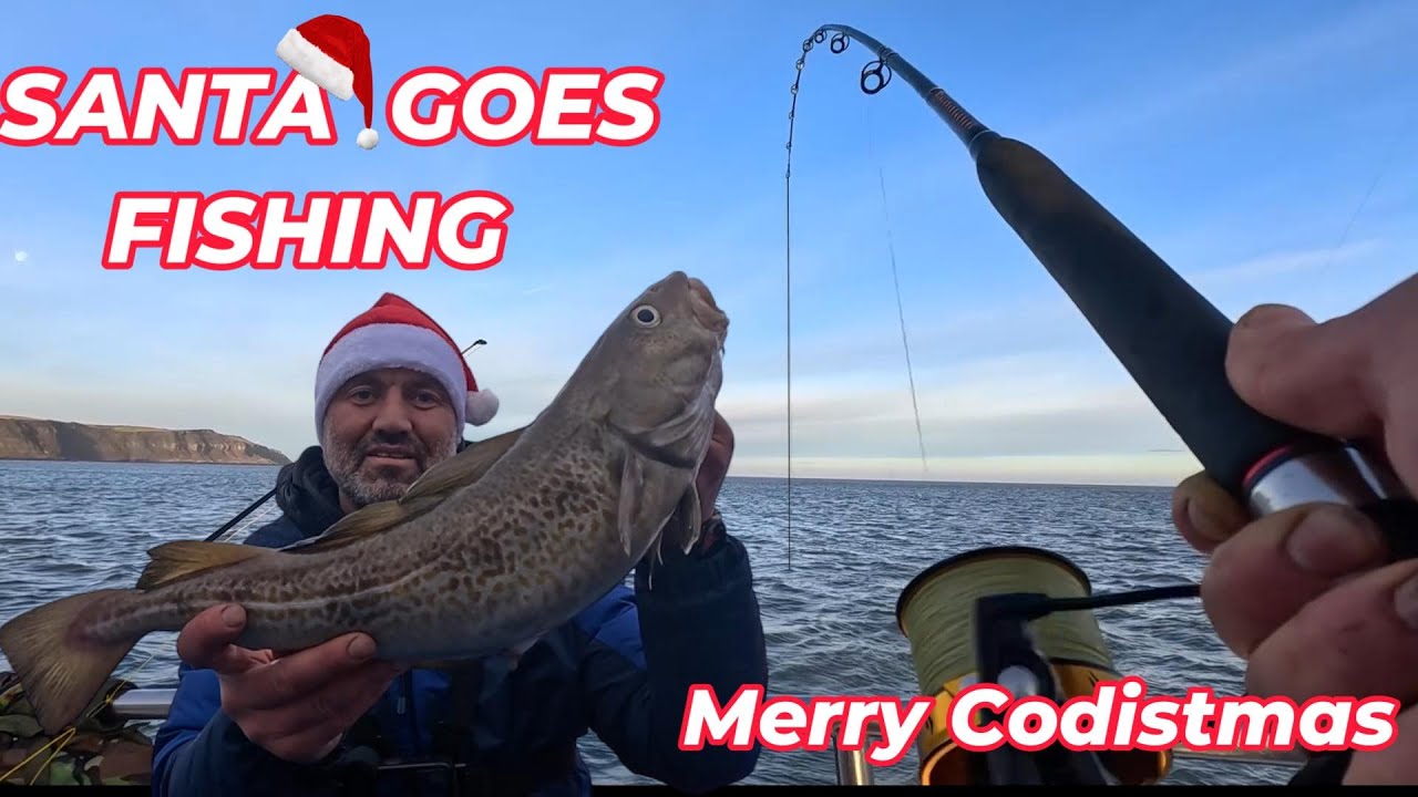 UPTIDING FOR COD | CHARTER BOAT FISHING FROM WHITBY | ON ABOARD@Whitby Wreck and Reef Fishing