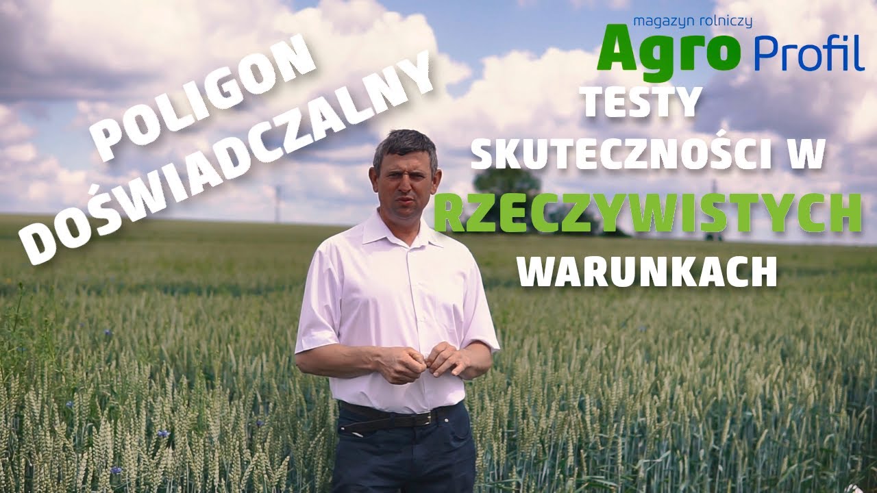 Oceniamy skuteczność technologii ochrony zb&oacute;ż i rzepaku preparatami Nufarm