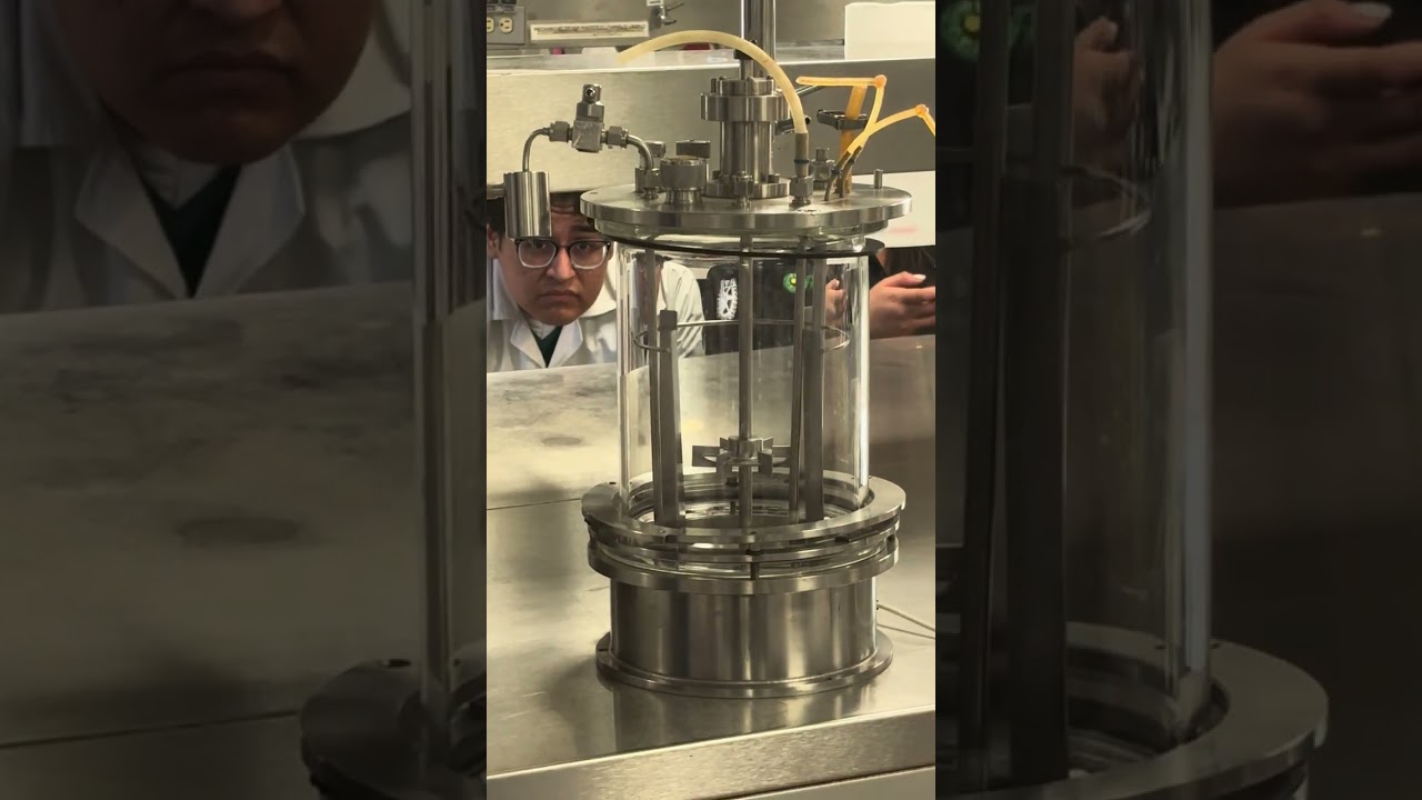 Partes y cómo usar un bioreactor parte 2