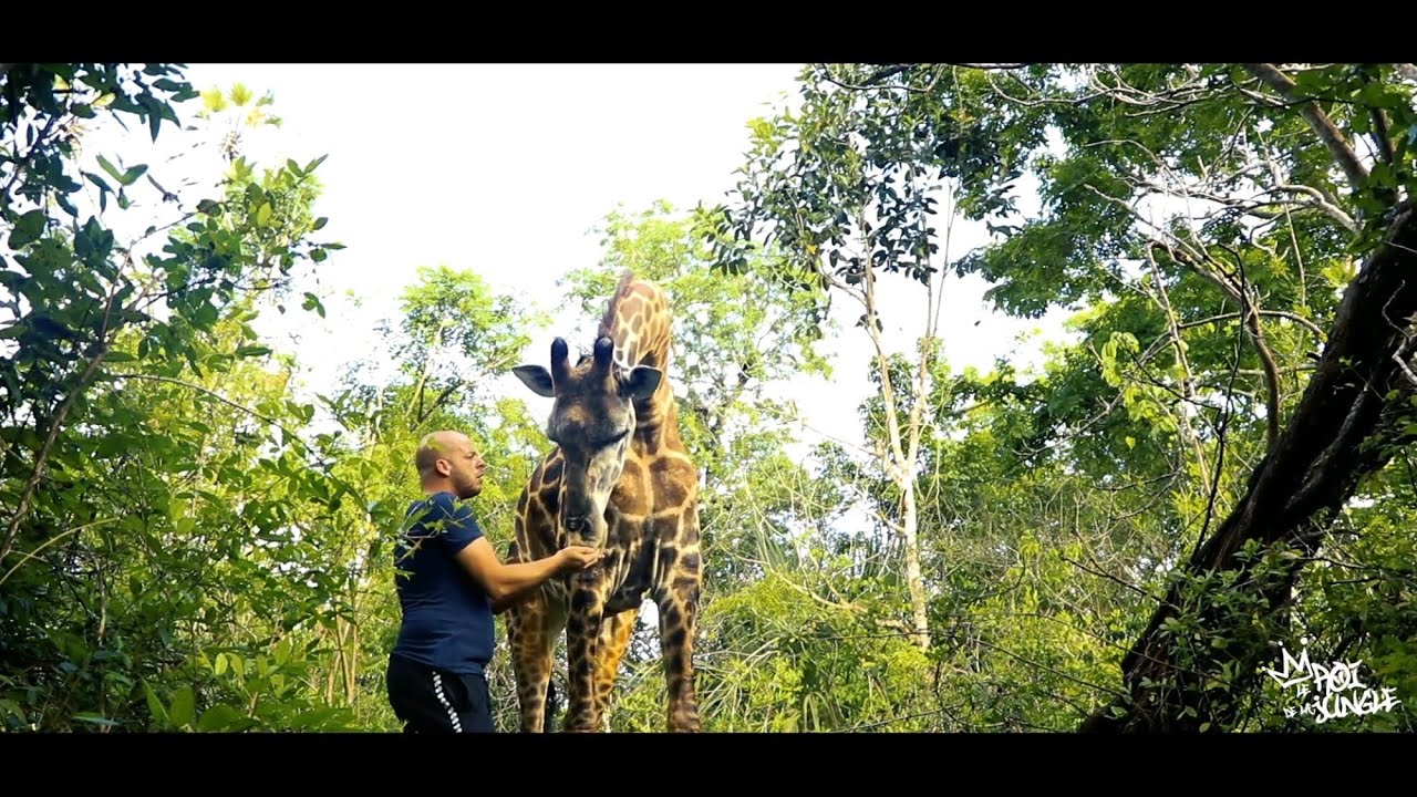 DU QUARTIER A LA SAVANE - KENYA (S.2/Ep.3)