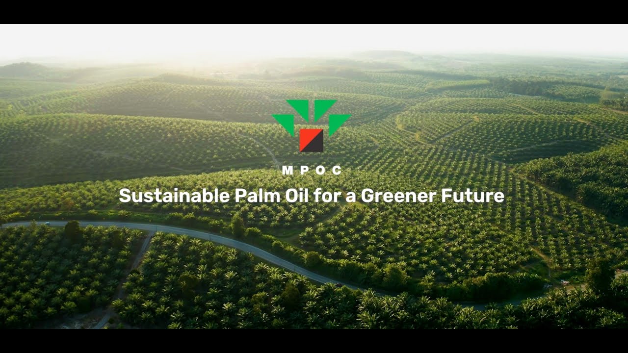 Malaysian Palm Oil Stays Ahead in EUDR Readiness