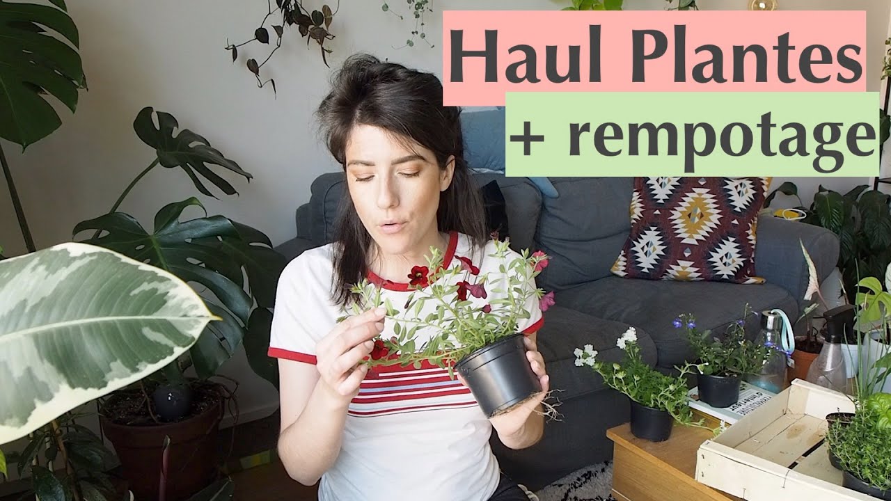 Haul Plantes + Rempotage & balcon