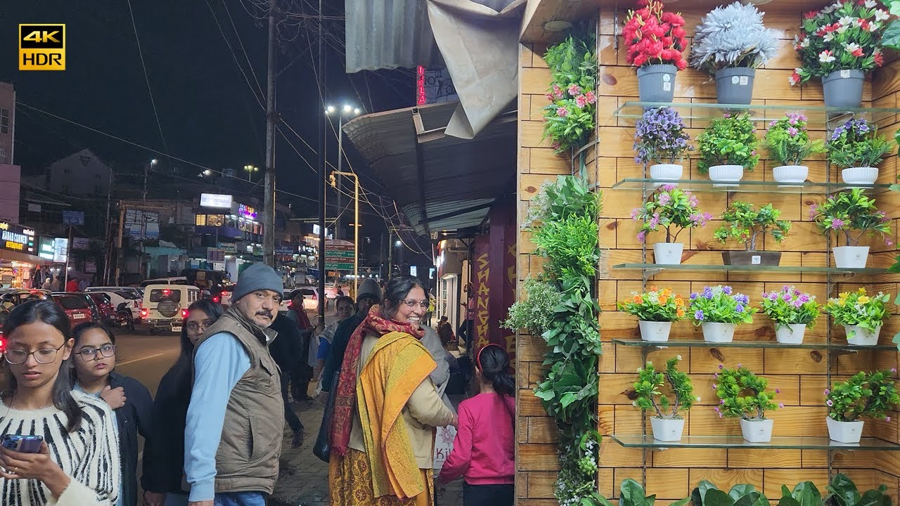 இனிய இரவு நடைபயணம் | Ooty | Exploring Ooty Road: A Scenic Walk Through Nature#ooty #ootytrip