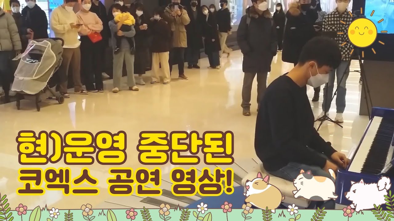 갑자기 캐논 연주하는데 관객 점점 모이는 장면 꼭 보세요ㅋㅋ