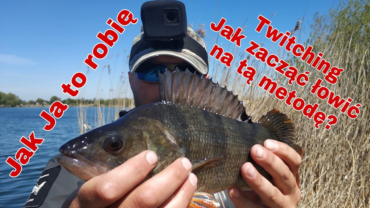 Wszystko o Twitching - u  , jak zacząć , jak prowadzić woblery i jaki sprzęt.