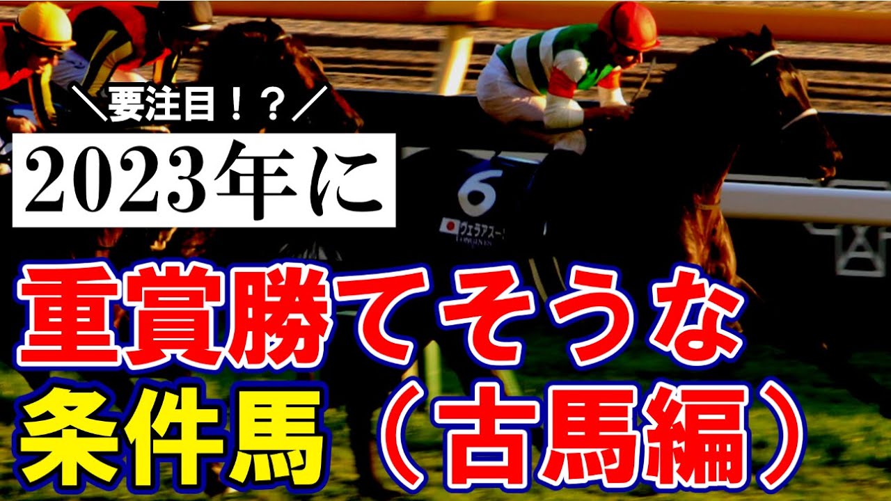 【競馬】今年重賞勝てそうな条件馬（古馬編）