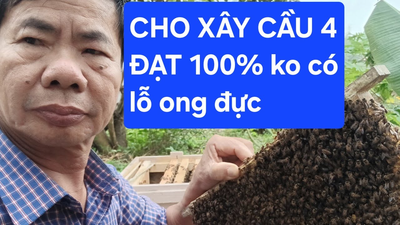 BÍ QUYẾT CHO ONG XÂY CẦU THỨ 4,KO LỖ ONG ĐỰC