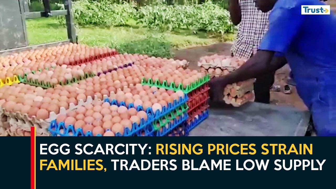 Egg Scarcity: Rising Prices Strain Families, Traders Blame Low Supply