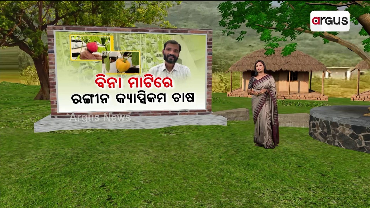 Nua Sankalpa Nua Udaana | Colorful Capsicum Farming Without Soil in Odisha | Argus News