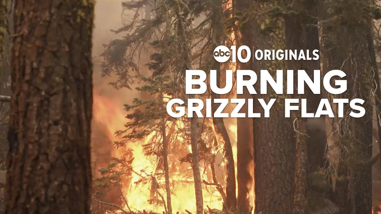 Burning Grizzly Flats | Investigating unkept promises and mismanagement by the US Forest Service