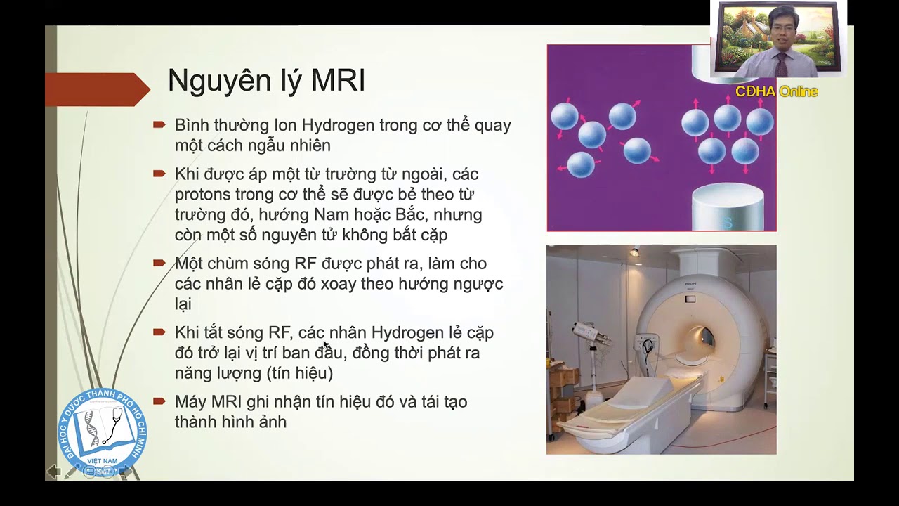HÌNH ẢNH HỌC ĐỘT QUỴ | TS. BS. Nguyễn Bá Thắng