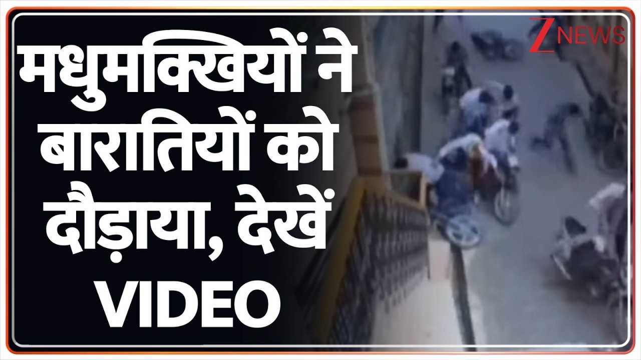 Breaking News: राजस्थान के नागौर में मधुमक्खियों ने बारात पर किया हमला। Zee News