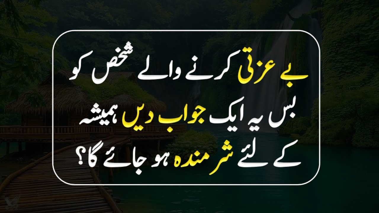 Best Way To Respond An Insulting Person | Urdu Golden Quotes | Afzal Quotes 