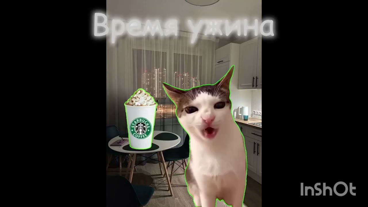 Пов:мой обычный день
