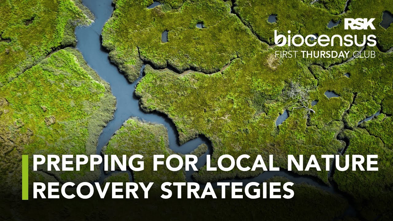 Creating local nature recovery strategies – how do we know what the future ought to look like?