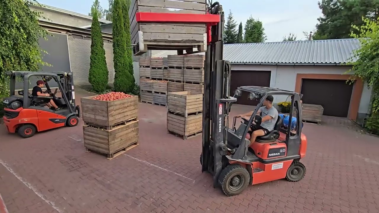 Sypiemy przemysł - Pierwsze zbiory Gali