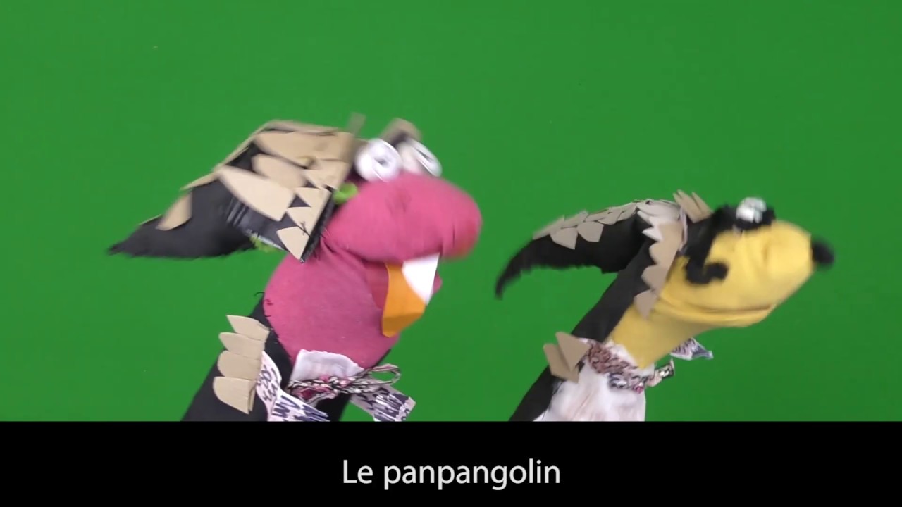 Confinette #32 - Sur l'air de Papa Pingouin de Sophie & Magaly