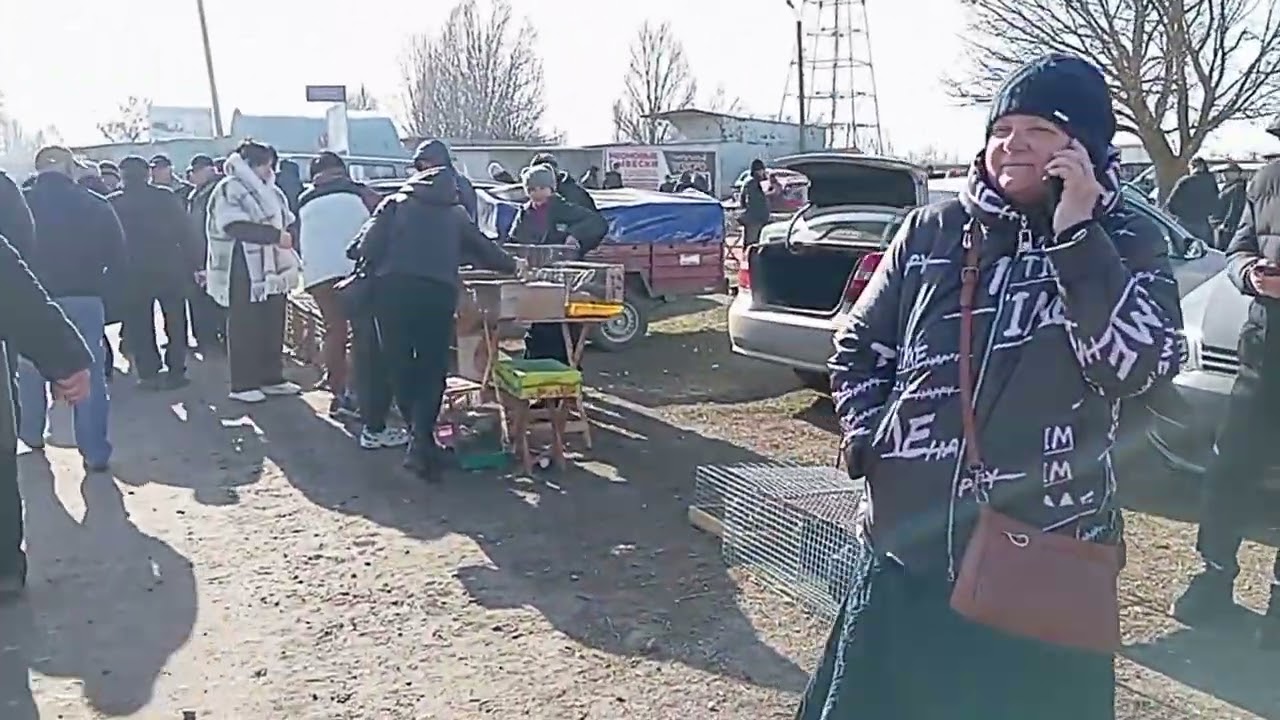 Мелитопольские голуби. Весенняя ярмарка в Мелитополе.