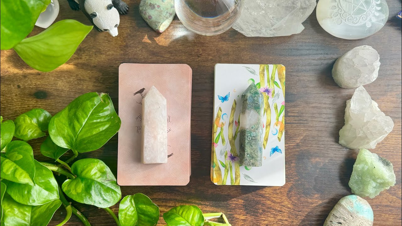 NEW LOVE 🎉🥰🦋🌈🕊️💕 Mini Pick a Card Reading 💕🕊️🌈🦋🥰🎉