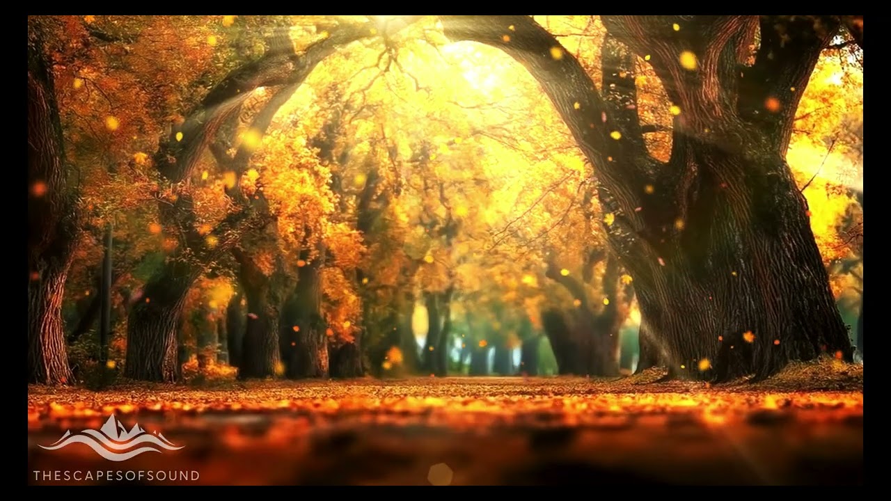 Echoes Of Calm | Instrumental #psychedelicmusic  #music #psychedelicrock #TheSoundScapes