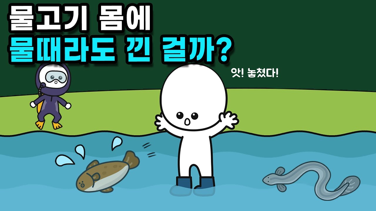 물고기의 몸은 왜 미끌미끌할까?