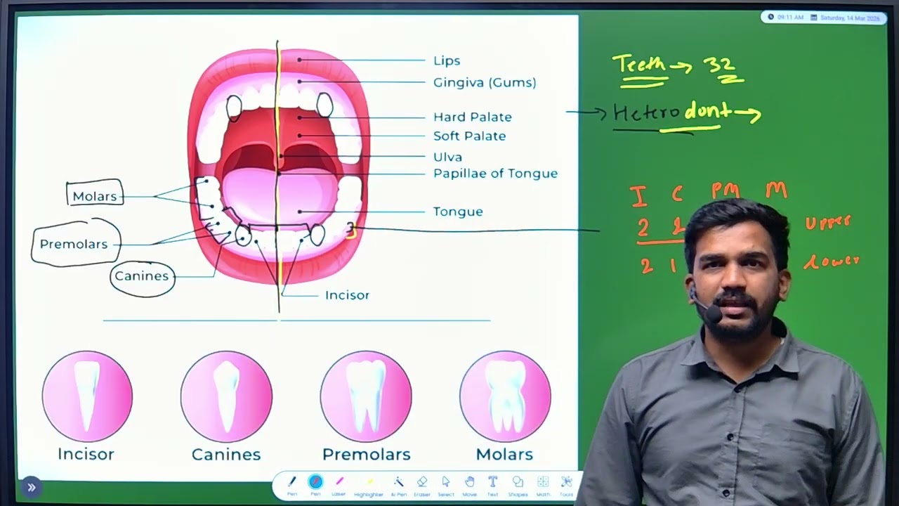 MHT-CET 2026 | Biology | Human Nutrition | Part - 1 | Full Crash Course @Dnyanganga Education