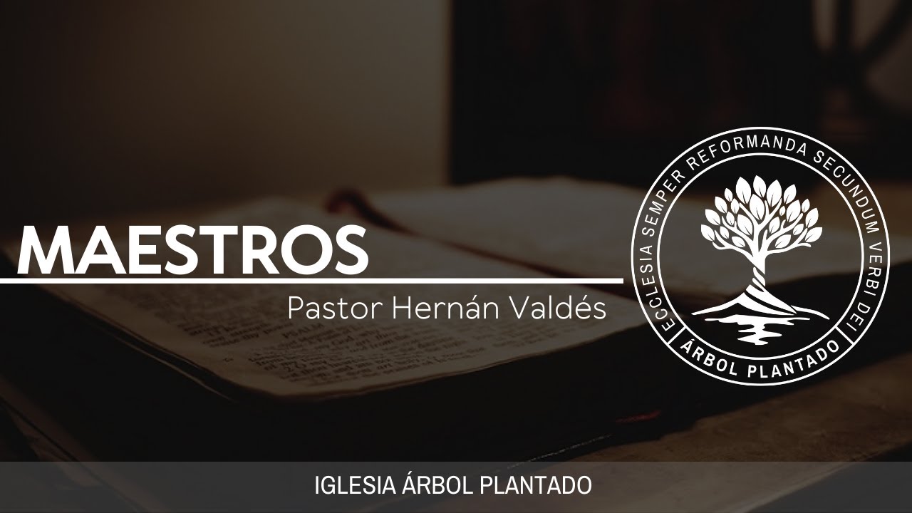 61 - Maestros