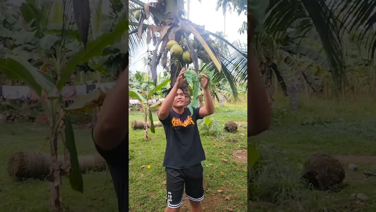 🥥😭😂 #shortvideos