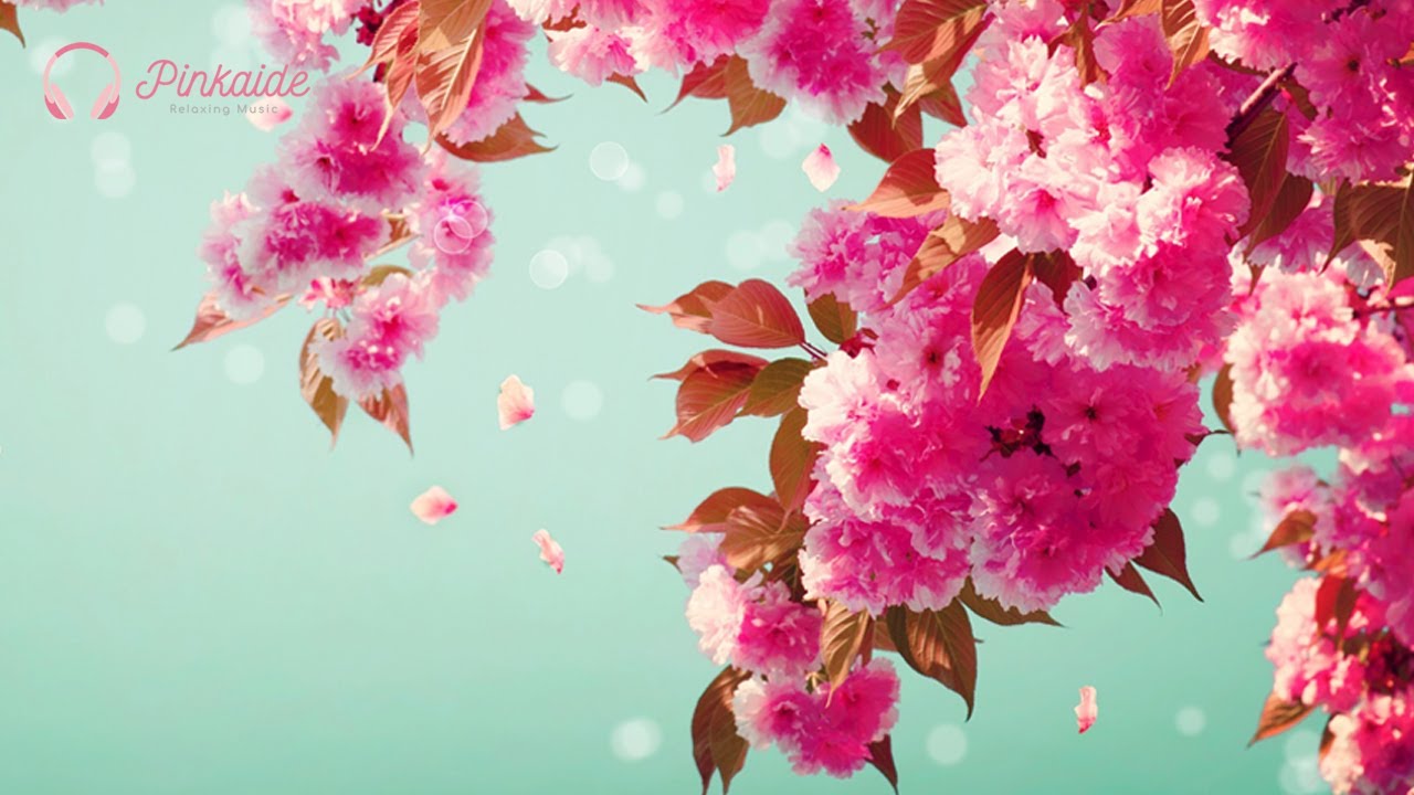 Relaxing Music Like Sunshine, Piano Music For Reading (On The Way To Spring)