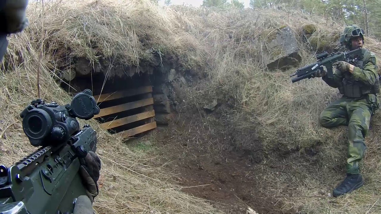 swedish military