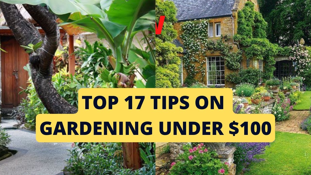 Top 17 Tips On Gardening Under $100