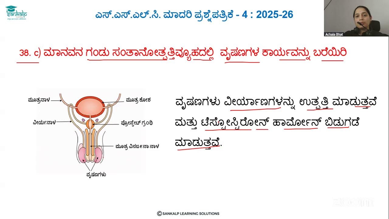Model question paper 4 - Science - KM - Session 3