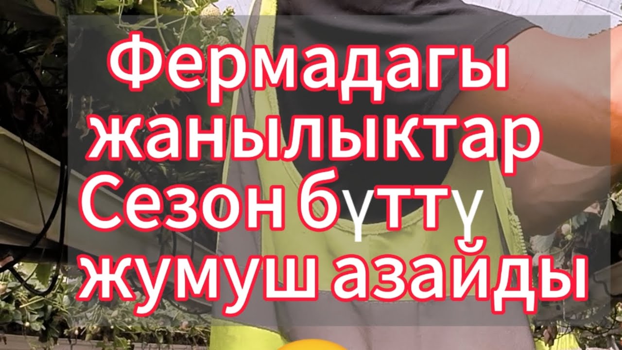 Ферма жөнүндө сүйлөшөлү) 
