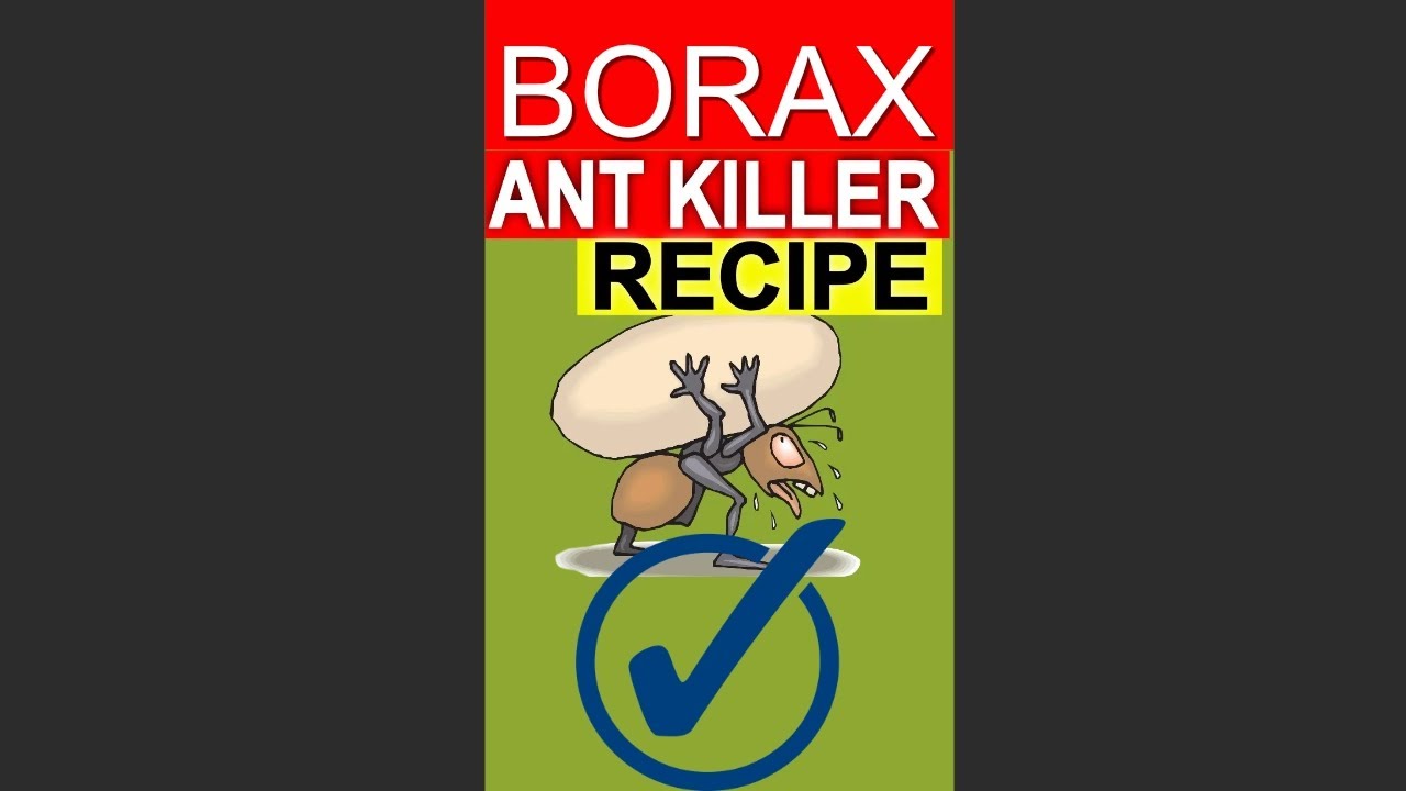 Ant Killer - Borax and Sugar DIY Ant Baits