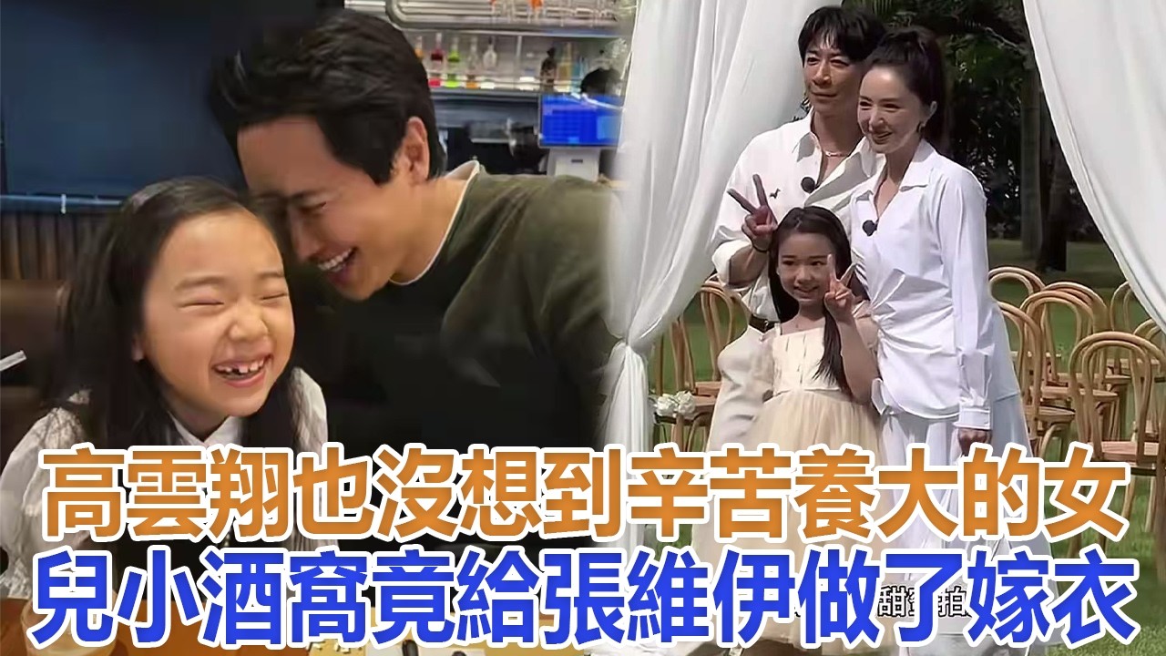 高雲翔也沒想到，辛苦養大的女兒小酒窩，竟給張維伊做了“嫁衣”#高雲翔#董璇#張維伊