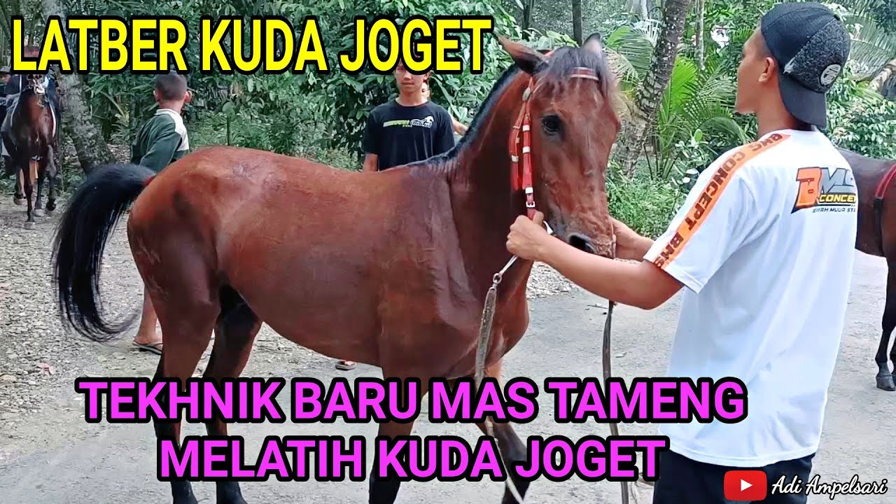 TEKHNIK BARU MAS TAMENG DALAM MELATIH KUDA // LATBER KUDA JOGET 22 Juni 2021