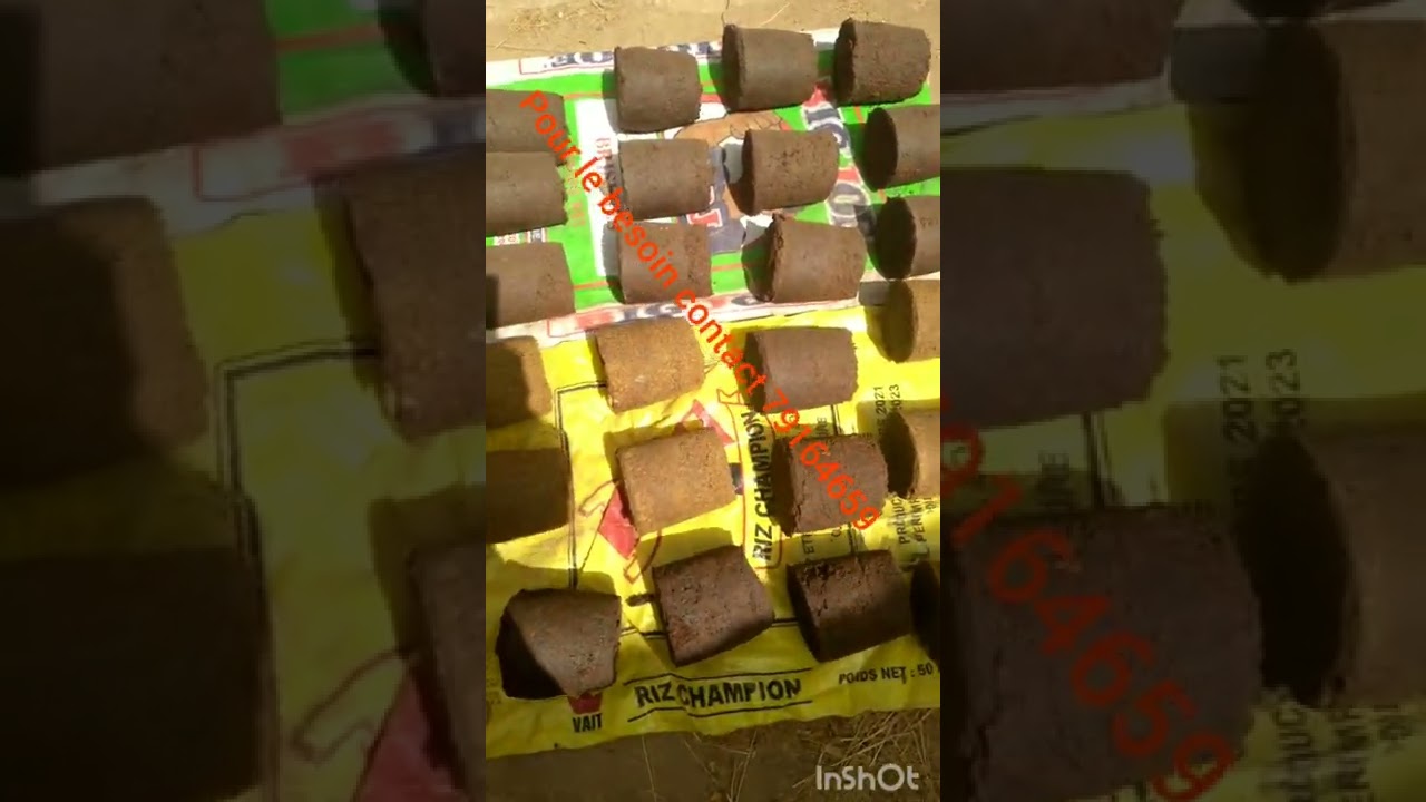 Le bloc multi nutritionnel