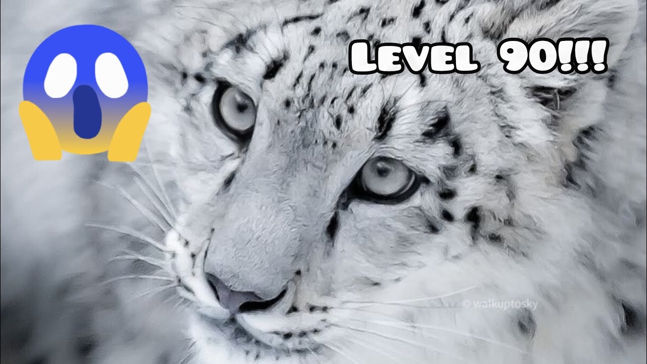 Wild Animals Online SNOW LEOPARD LEVEL 90!!