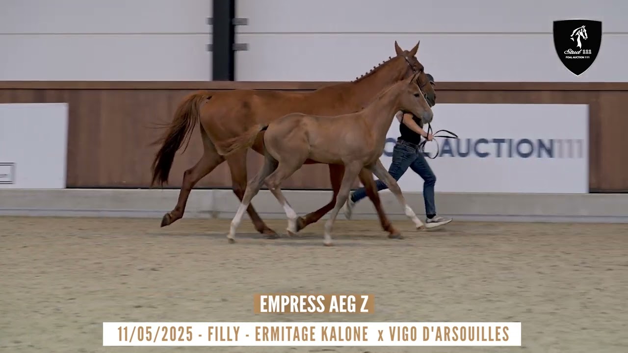 NR 11 - EMPRESS AEG Z (Ermitage Kalone x Vigo d'Arsouilles)