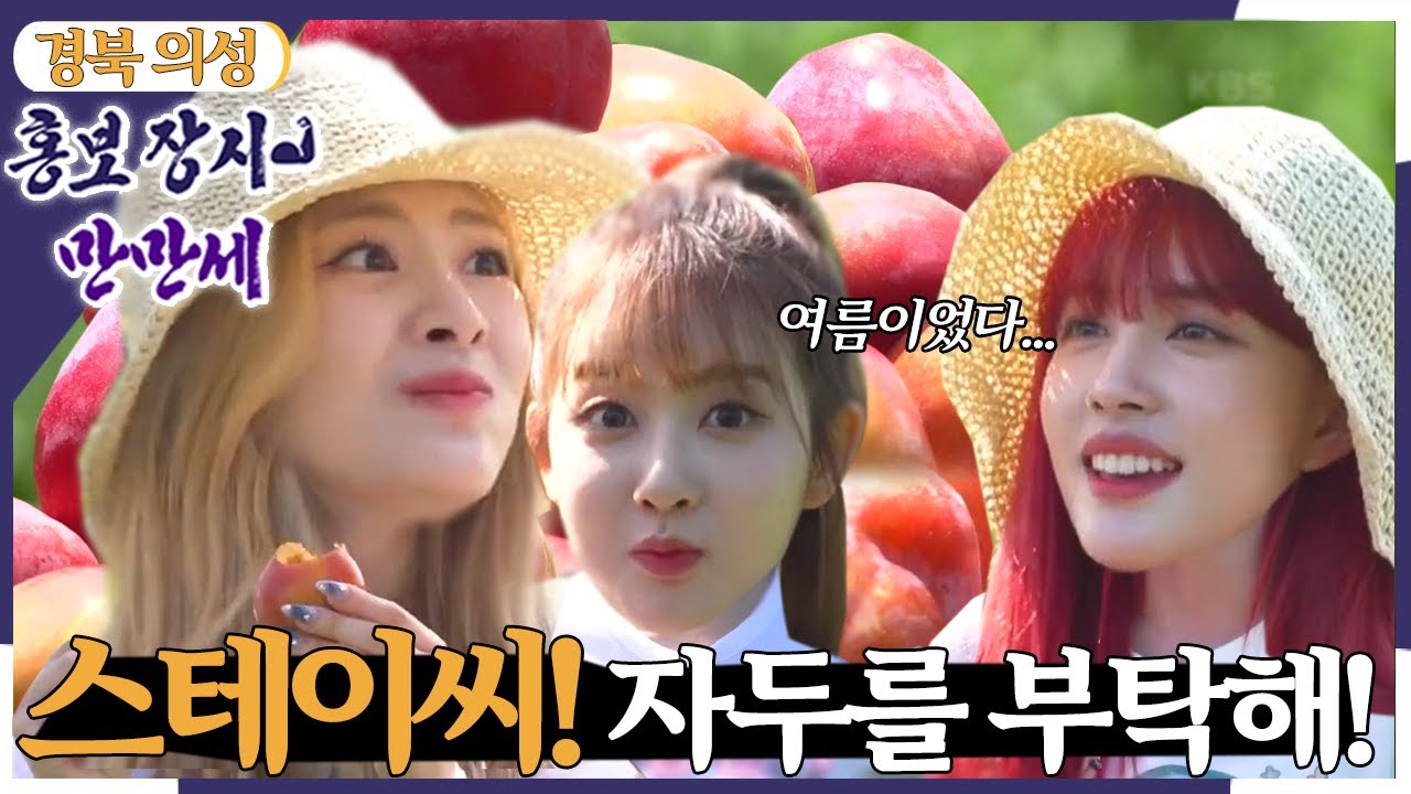 [홍보장사 만만세] 새콤달콤 자두야, 여름을 부탁해 [6시 내고향] | KBS 220719 방송