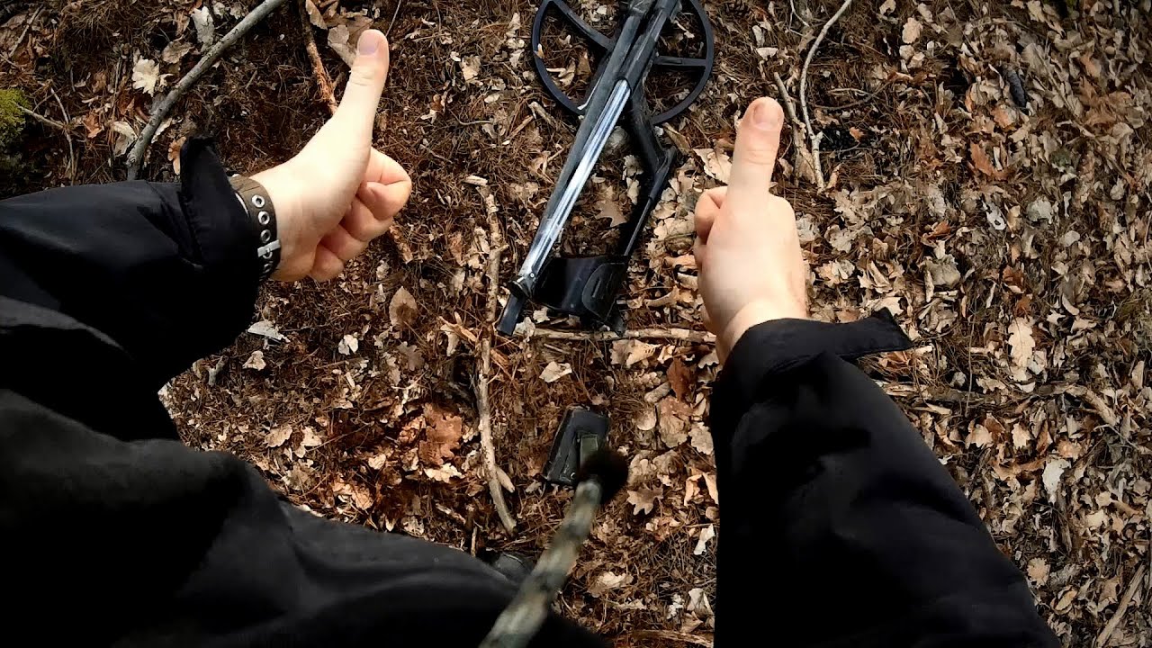 Golden Hunt On A Windy Day
