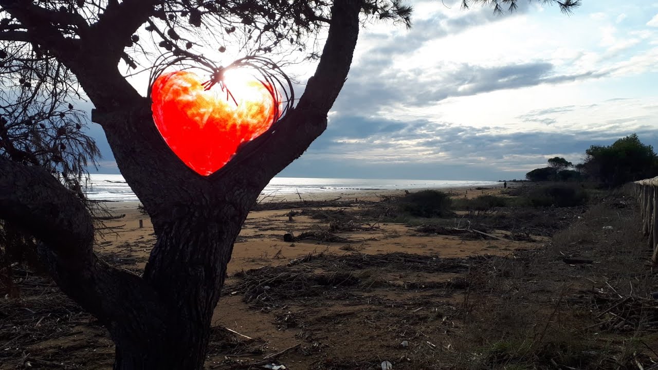 La tregua a Latisana, San Michele,Cesarolo, Bibione 4k