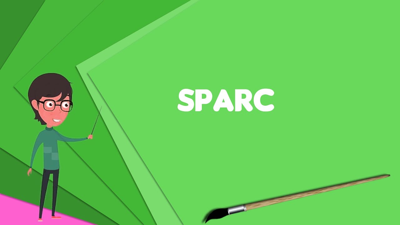 What is SPARC? Explain SPARC, Define SPARC, Meaning of SPARC