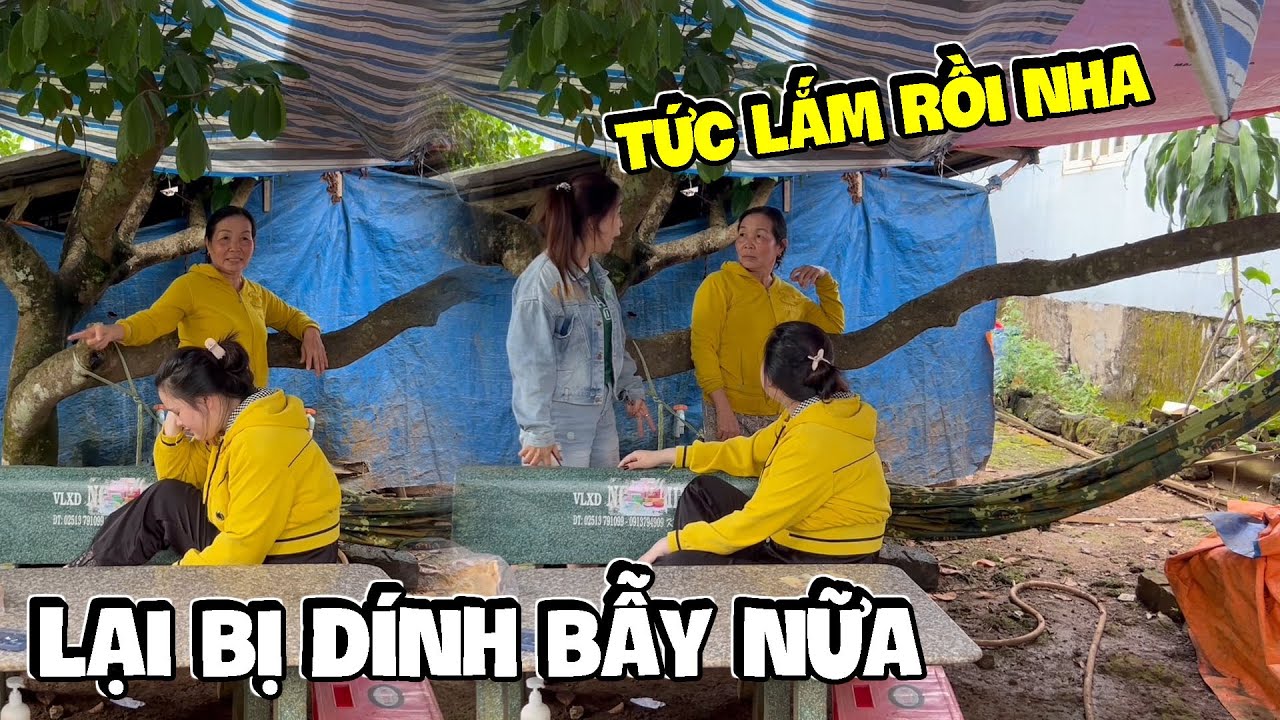 Dì Hương Hốt Linh Cô Đơn Yến Báo Một Vố Tức Muốn Xì Khói Cũng Nhờ Âm Mưu Của Ba Báo | Anh Ba Báo
