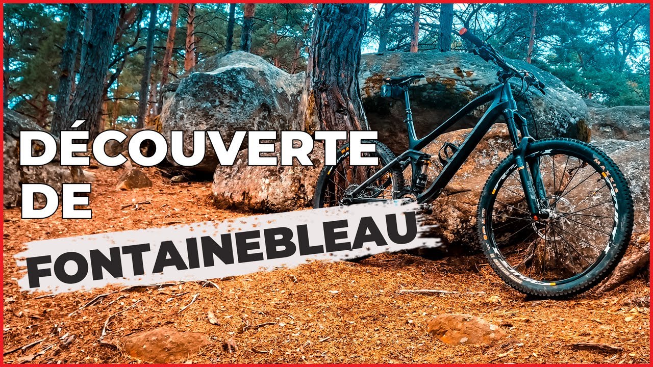VTT dans la forêt de fontainebleau