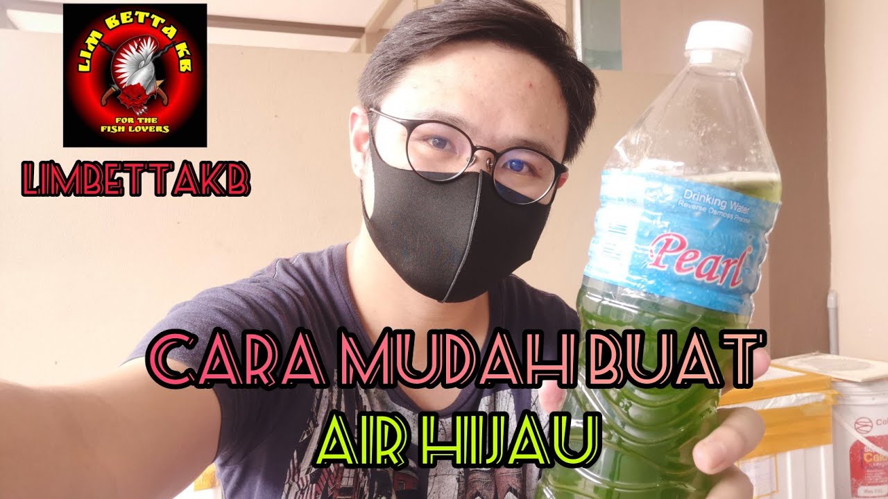[ Cara Mudah Buat Air Hijau untuk Makanan Kutu Air ]