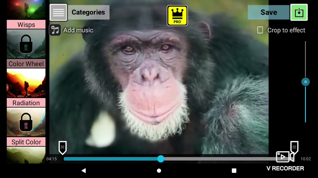 Category ABC'S Colorful Part 12 For Kids And Childhood And Children 